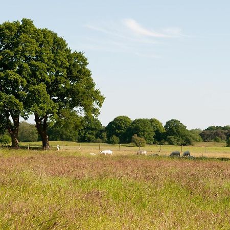 De Rheezer Kamer Hardenberg Exterior foto